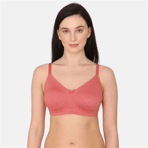 Buy Zivame Bra Online in India at Best Price 